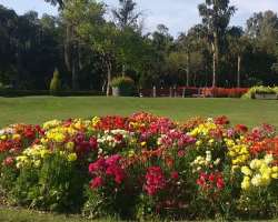 Lush green garden, lots of trees with a number of fragrant flowers has made a Garden of Fragrance one of the favorite location for botanist.